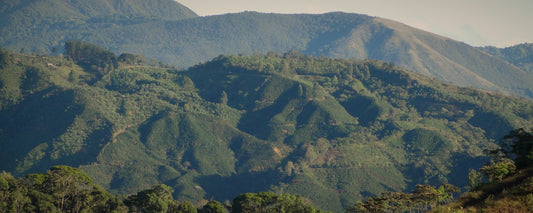 Layered coffee-covered ridges of the Tarrazu highlands, Costa Rica