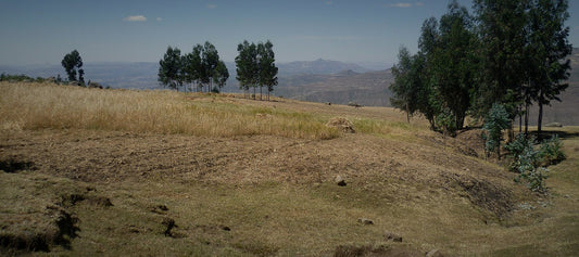 Green highlands of Ethiopia