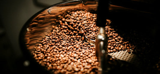 Freshly roasted coffee beans glowing in the drum of a roaster