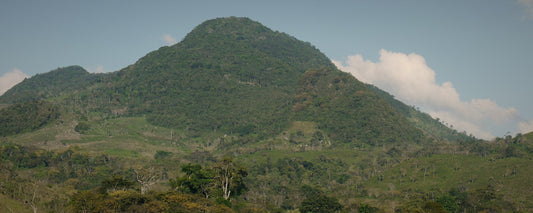 Forested coffee mountains and a river in highland Honduras