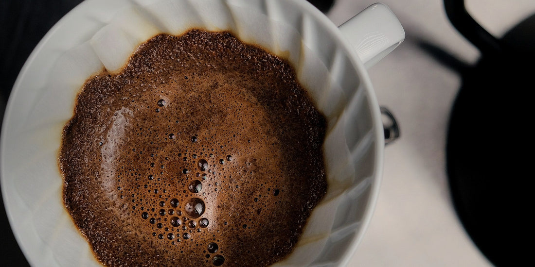 A Hario V60 pour-over blooming with fresh coffee, seen from above